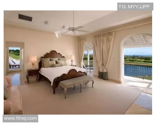 法国足球明星豪宅揭秘奢华生活与独特设计的完美结合