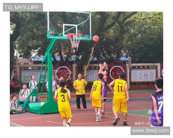 小学篮球小明星的成长之路与梦想追逐的精彩瞬间 小学篮球小明星的成长之路与梦想追逐的精彩瞬间